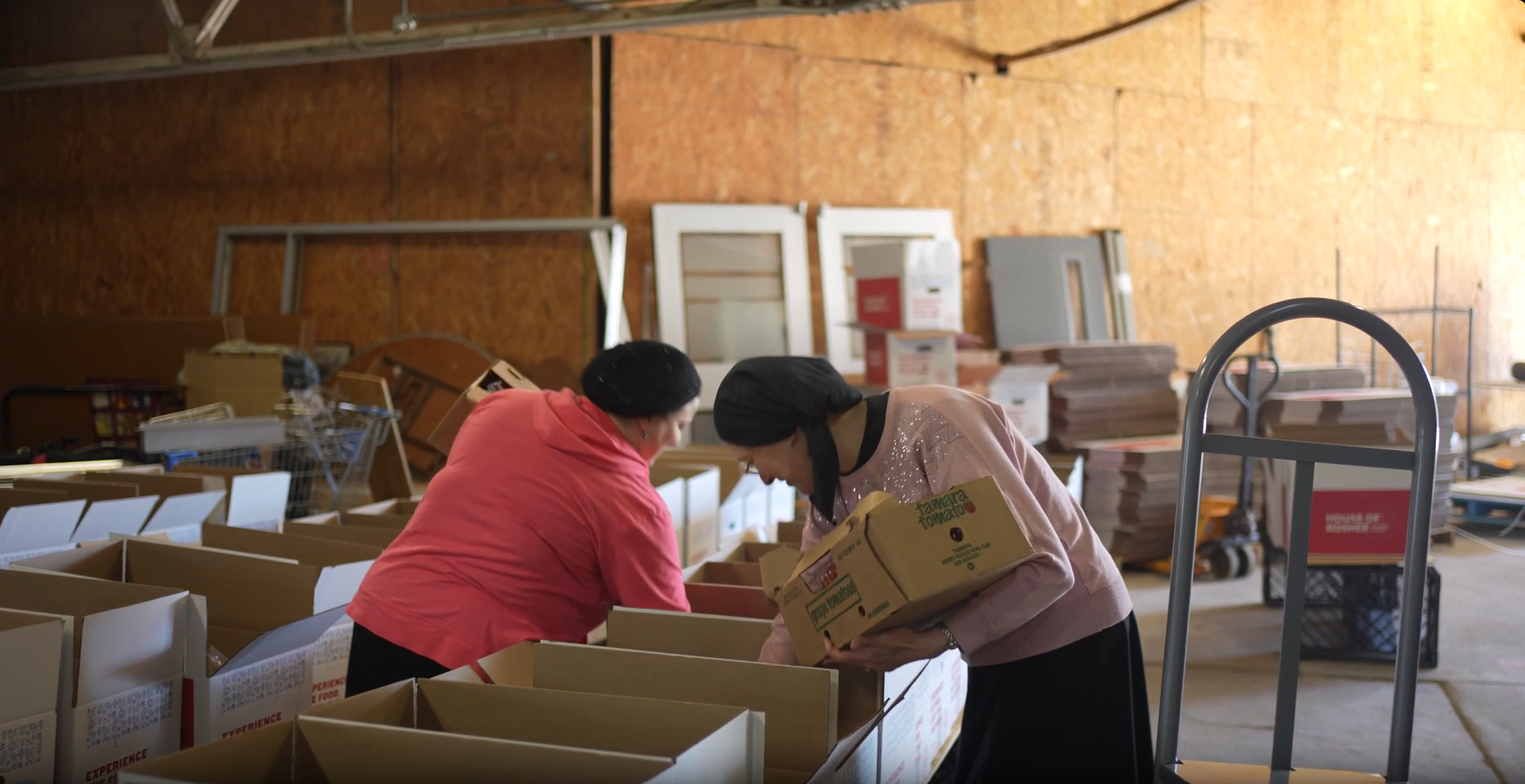 Volunteer activity 1